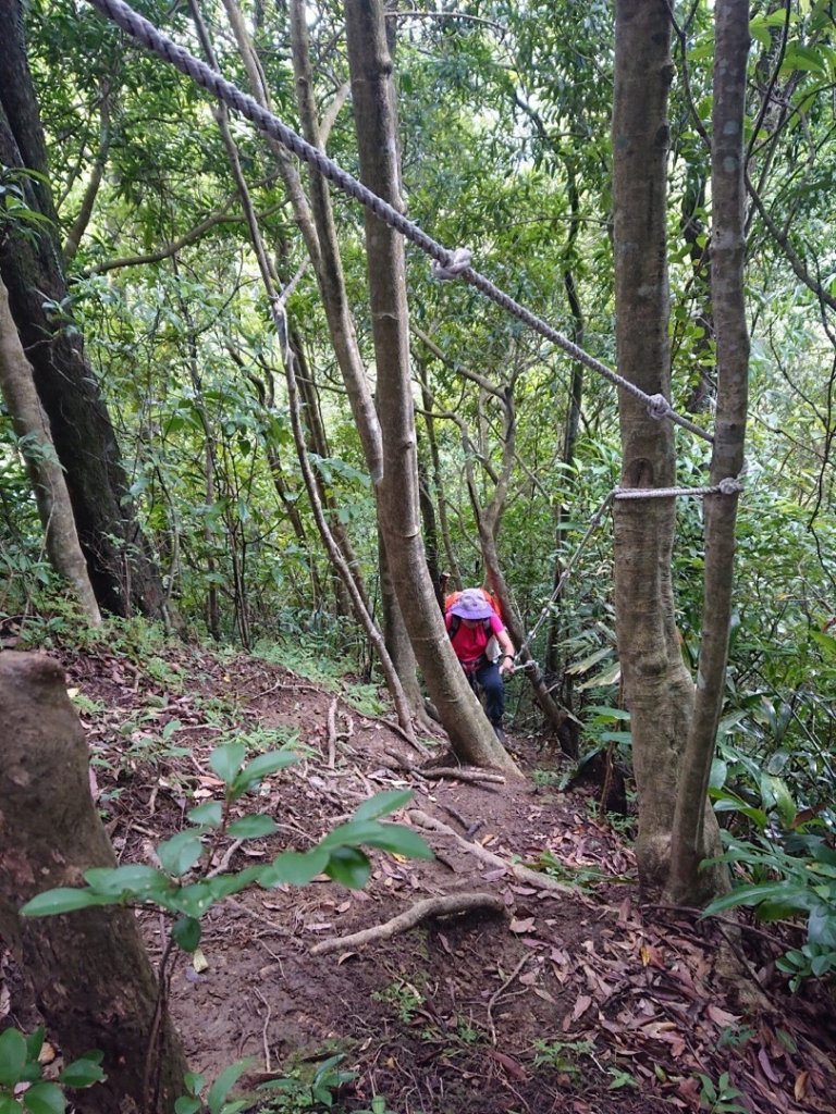 畝畝山、青林山、石古井、石硿子瀑布、石硿子古道O走_1492796
