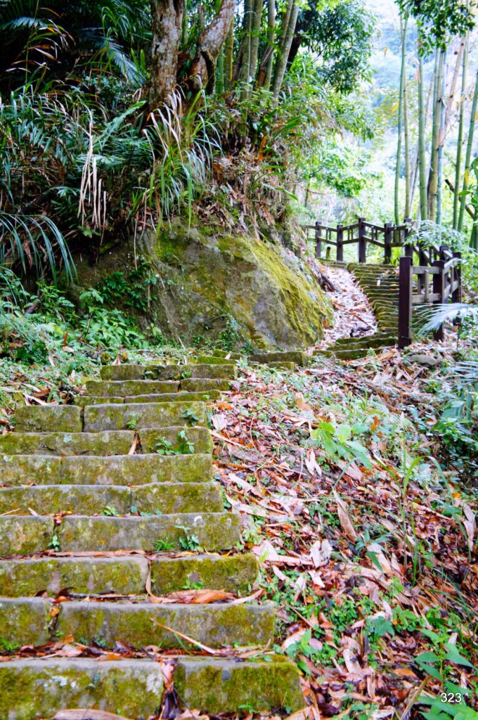阿里山豐山村石盤谷_672368