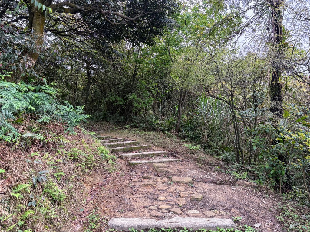 姜子寮山_2736845