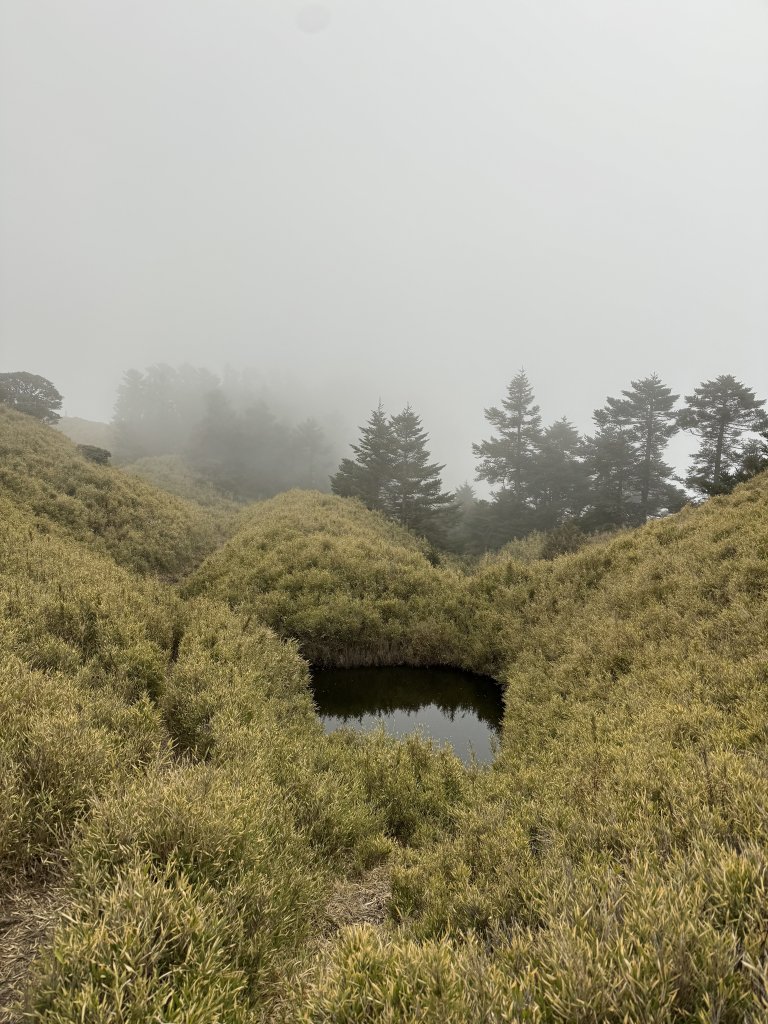 合歡山南峰封面圖