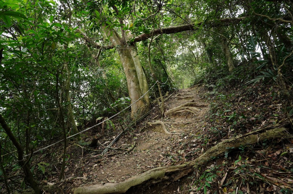新竹 峨嵋 獅頭山、獅尾山、六寮山、猿山_2450062