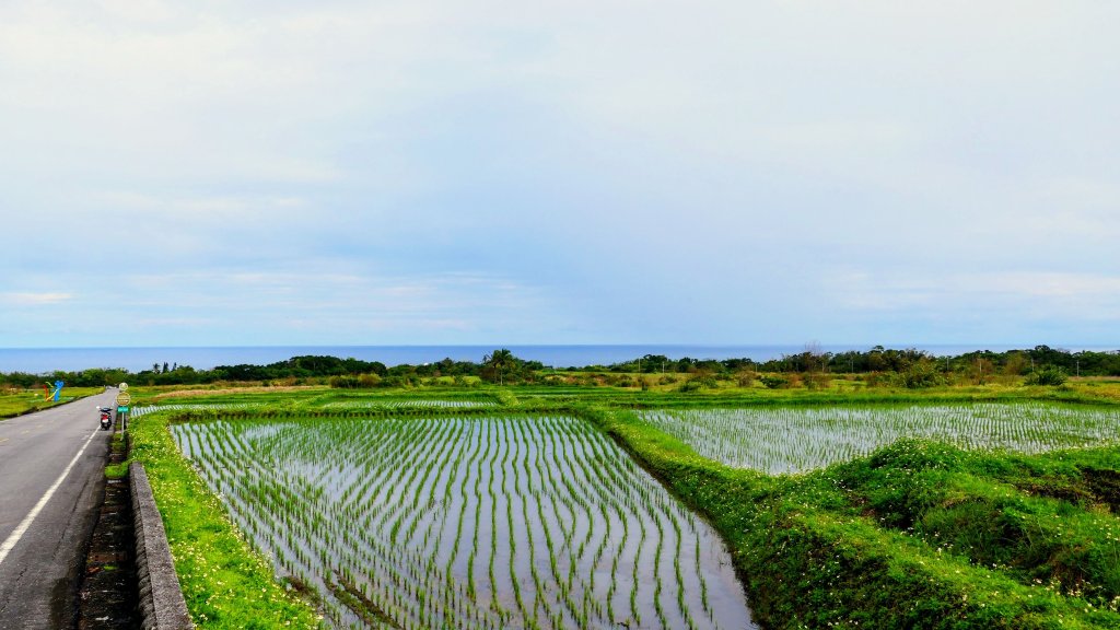 玉長豐濱_3007450