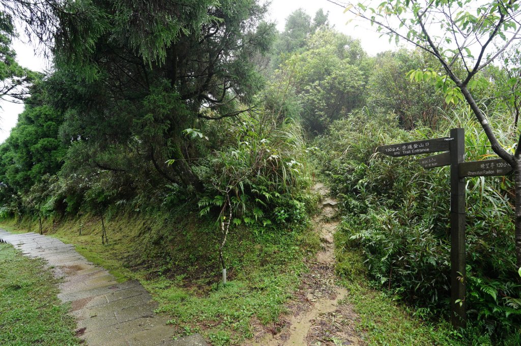 新北 瑞芳 頂子寮山、五分山_2615533