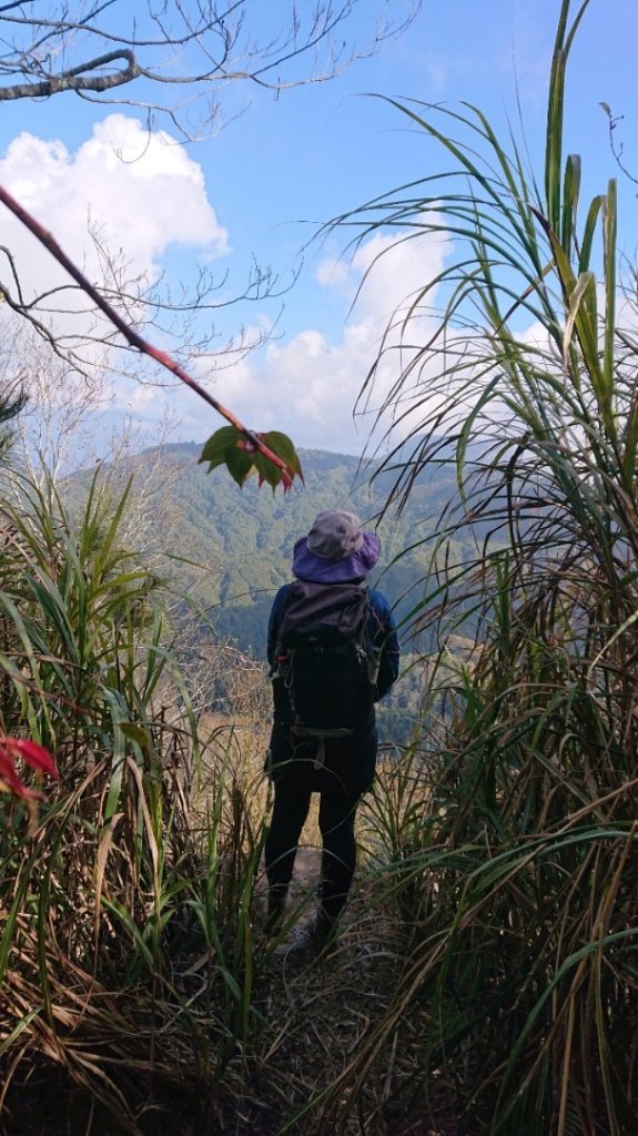 水漾森林、鹿屈山O走_2461744