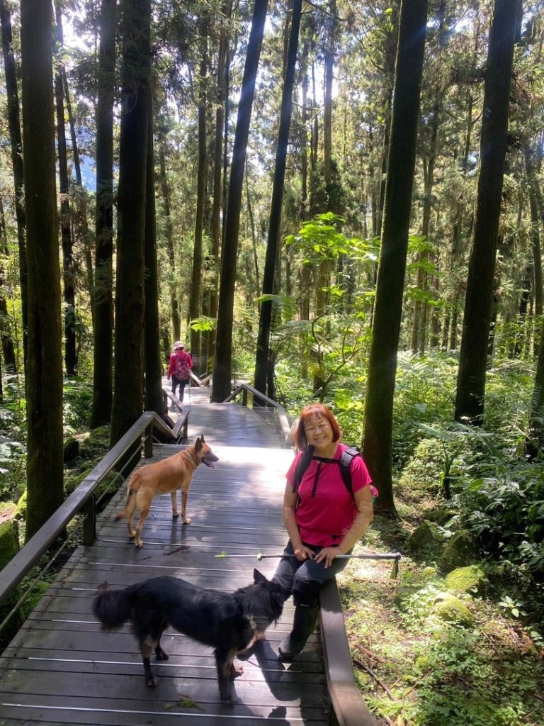 奮起湖環狀步道、麻竹湖步道_2638108
