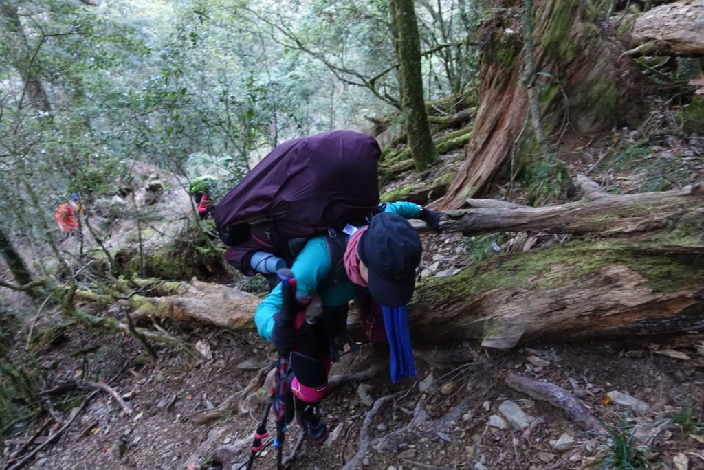 中央尖山_1516636