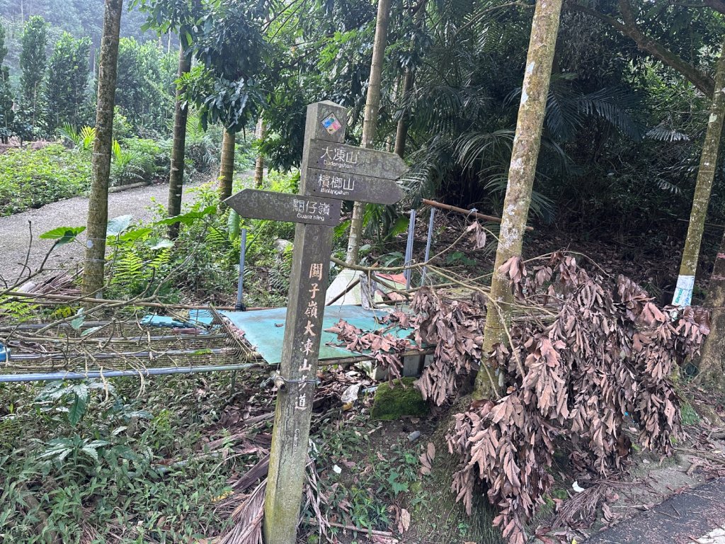 063台南白河大凍山_2652504