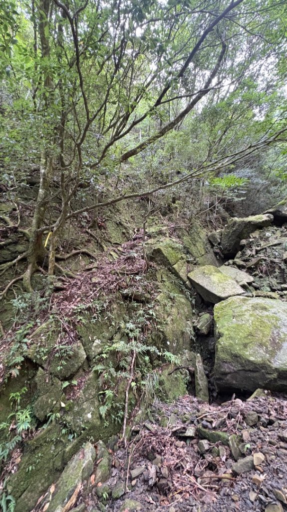 加里山東南峰_2868092