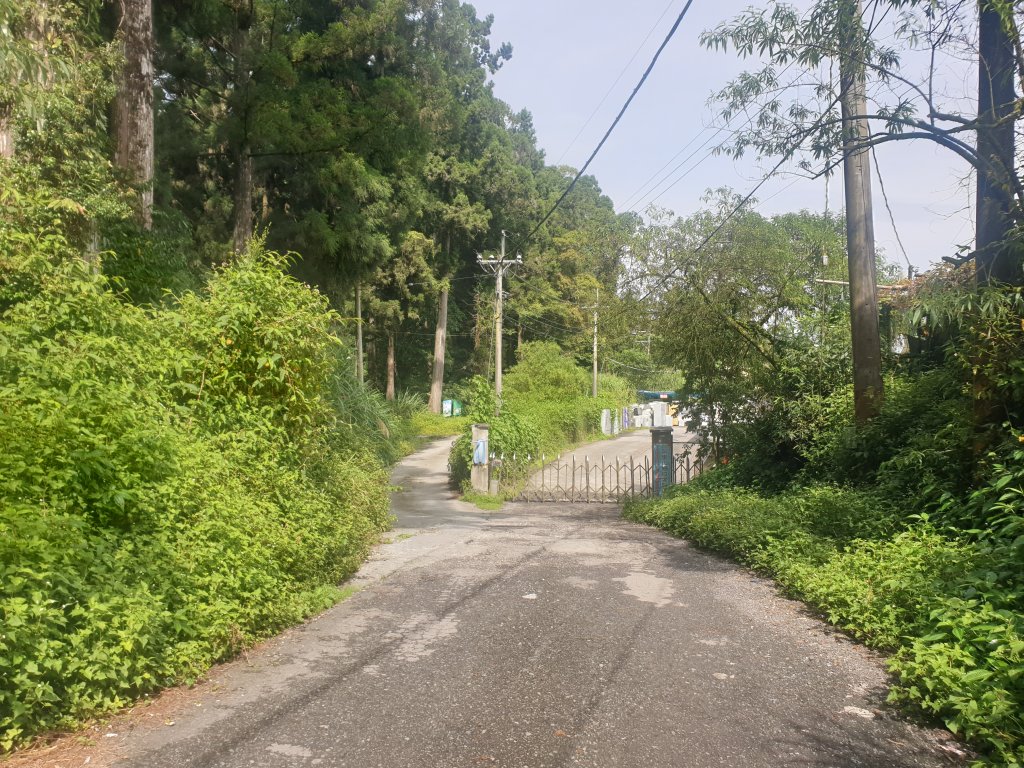 20220716鹿林神木、二萬坪步道、二萬坪山、屏遮那山_1774960