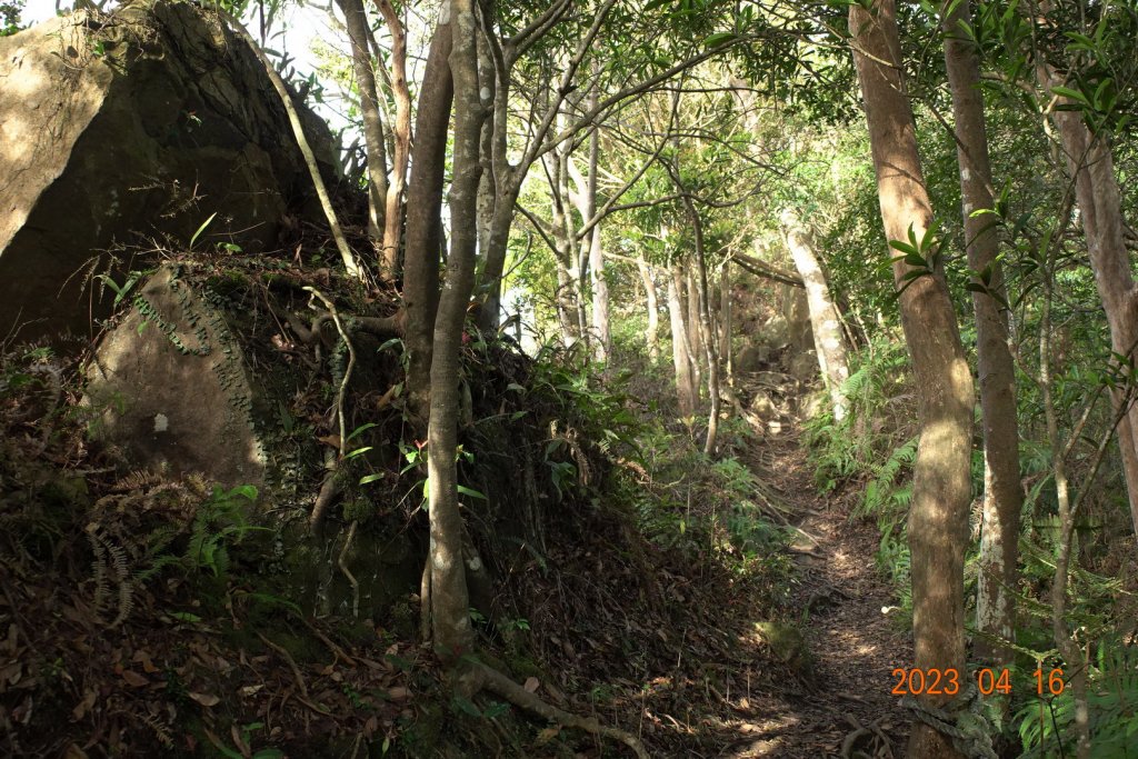 新竹 關西 石牛山_2115926