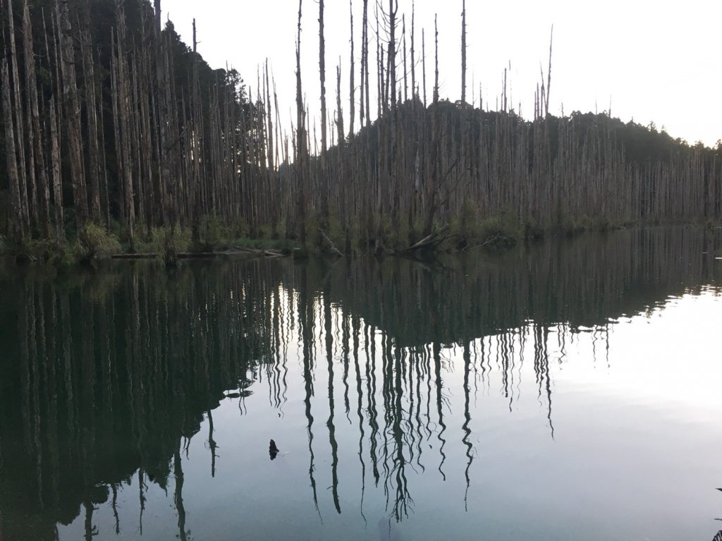 水樣森林 第一次在山裡過夜_658642