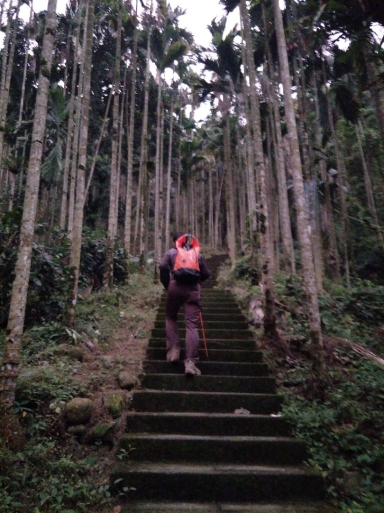 雲嘉七連峰_1560670