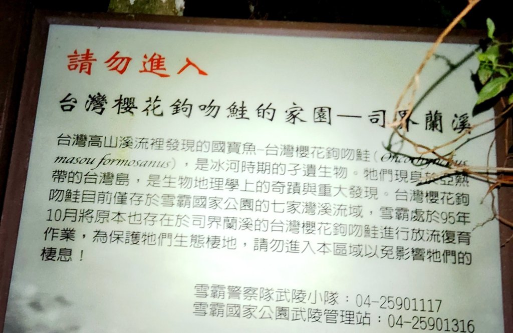 【百岳】志佳陽大山_2779874