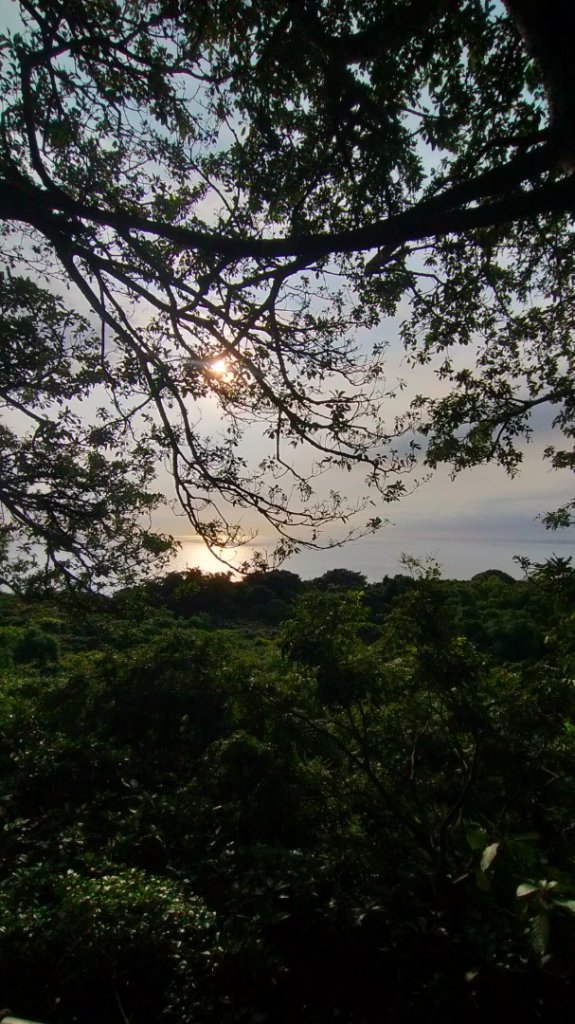 柴山之美~夕陽/夜景_2555782
