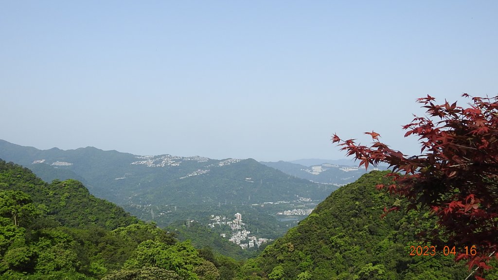 翡翠水庫壩頂(新店四十份)再見日出雲海+賞 #松月櫻 &桐花_2114994