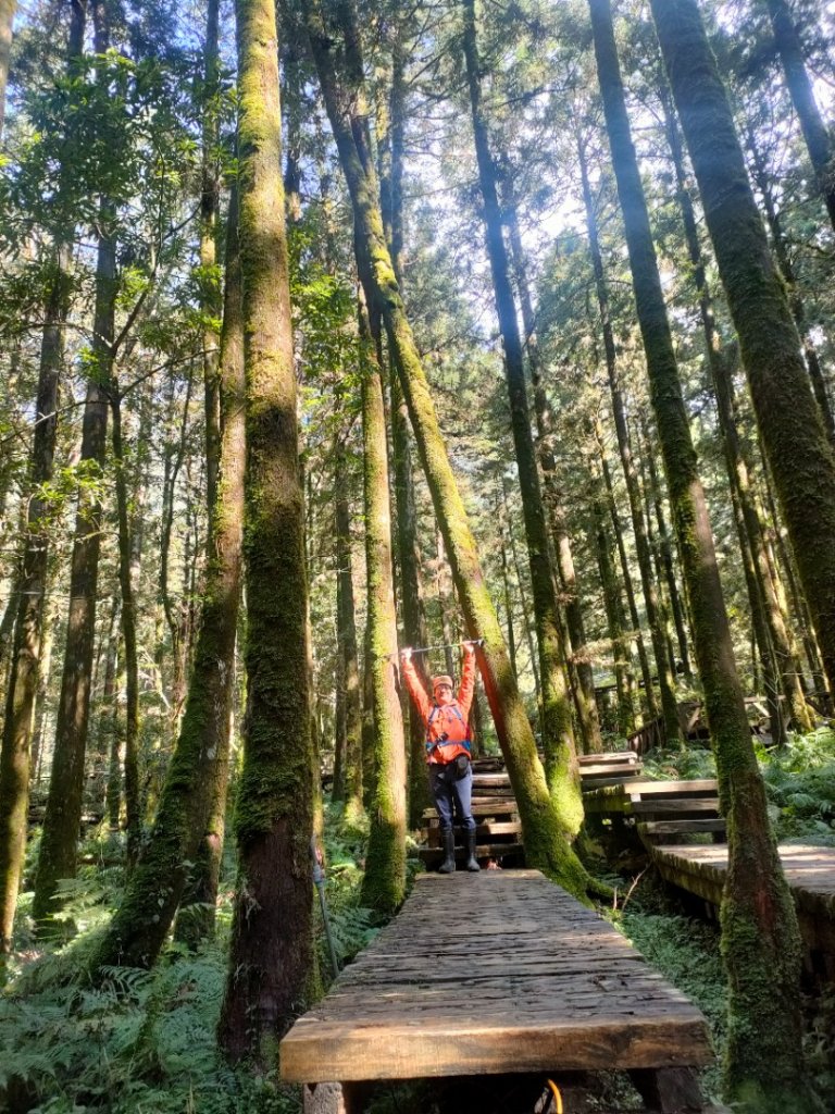 20220226 明池森林遊樂園，棲蘭神木園_1618902