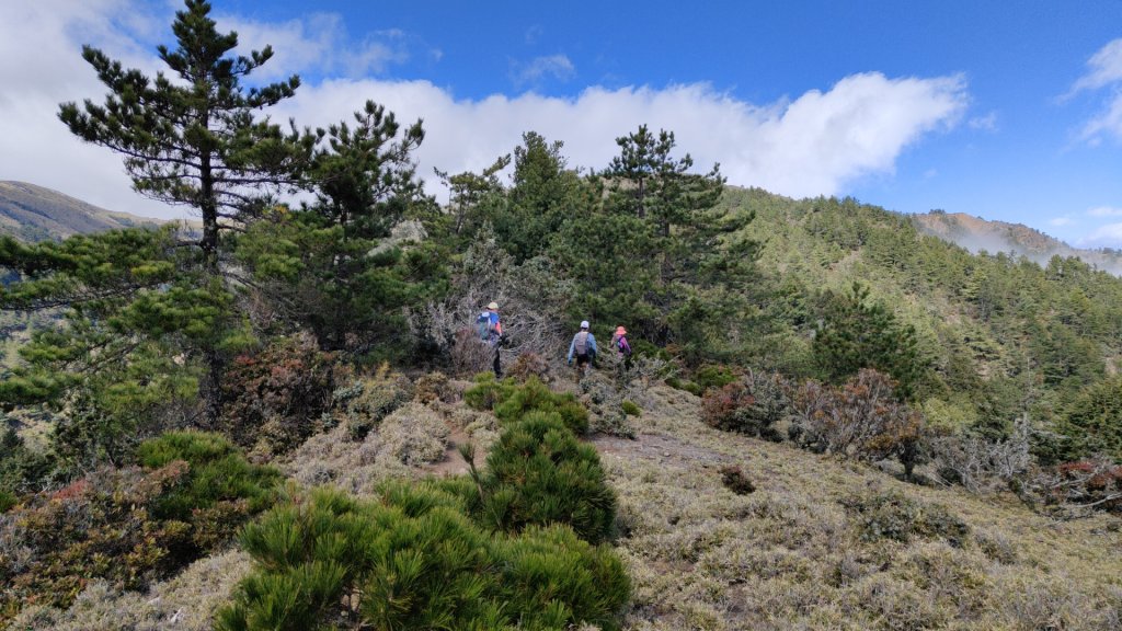 布拉克桑山單攻O繞嘉明湖戒茂斯山 2024年12月8日_2667042