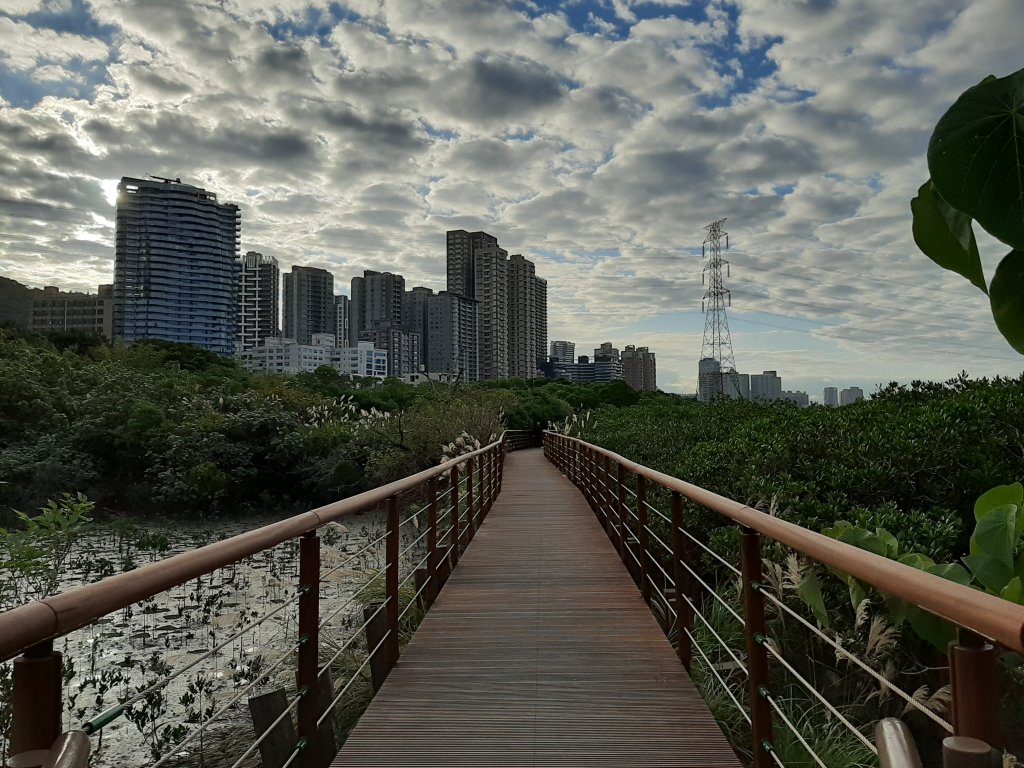 紅樹林生態步道 - 全臺最大的水筆仔森林_776014