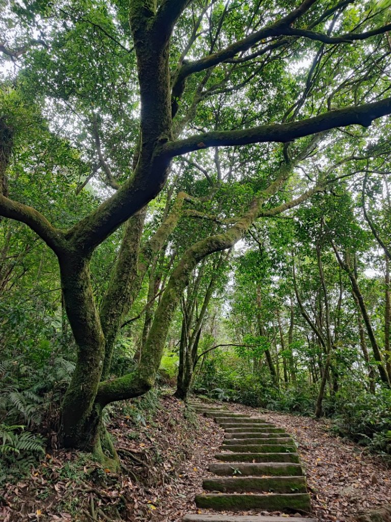 姜子寮山-小百岳#11-基隆市七堵區_2248511