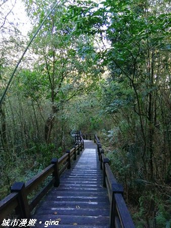 台中~繽紛山行路太忘憂。 五福臨門步道_1289226