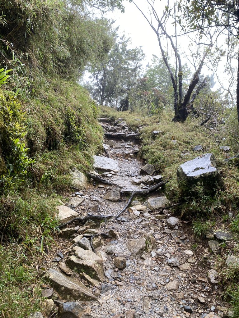 玉山主峰-前峰-排雲山莊2日_2526161