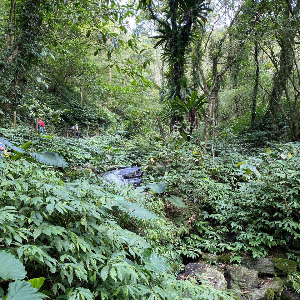 步道巡訪員 l 聖母山莊登山步道三月份巡訪_895305