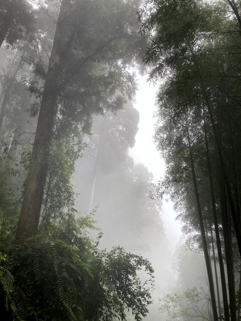 2023-09-30 頂石棹 雲之道_2300726
