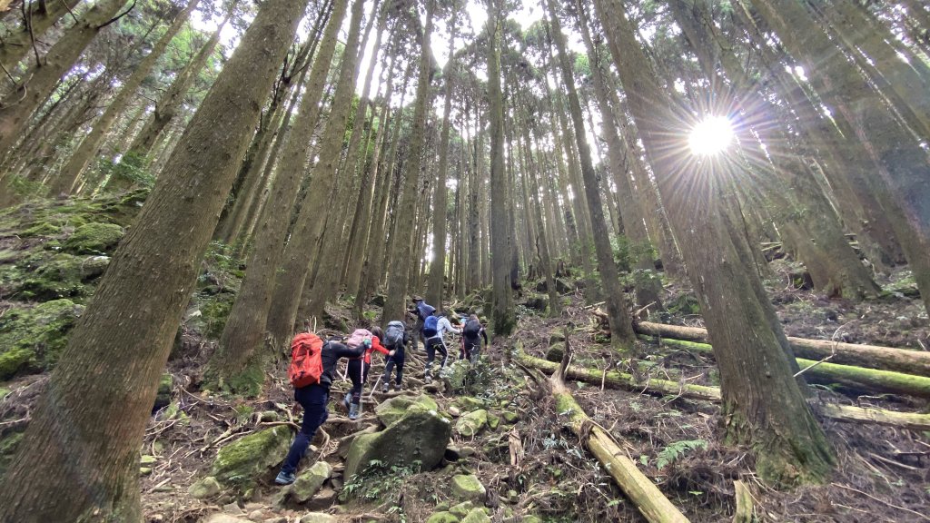 苗栗南庄加里山大坪線雲海上的聖誕節野餐趴_1217110