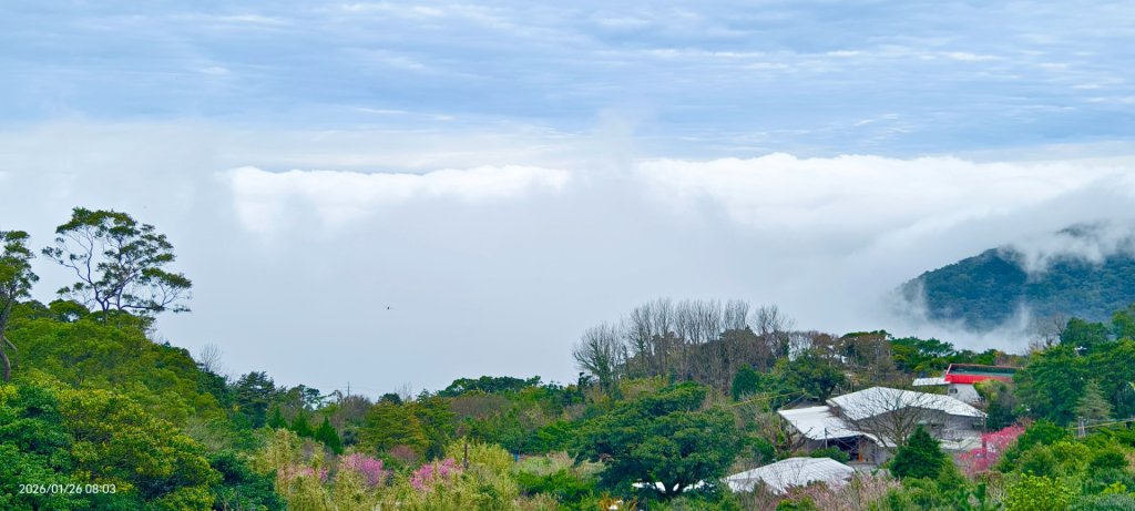 陽明山趴趴走追雲趣 #雲海 #琉璃光 1/26 認得幾個拍照地點共15個_2988355