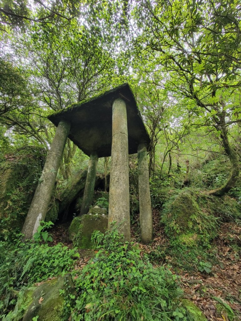 探索凱達格蘭遺址-20240414封面圖