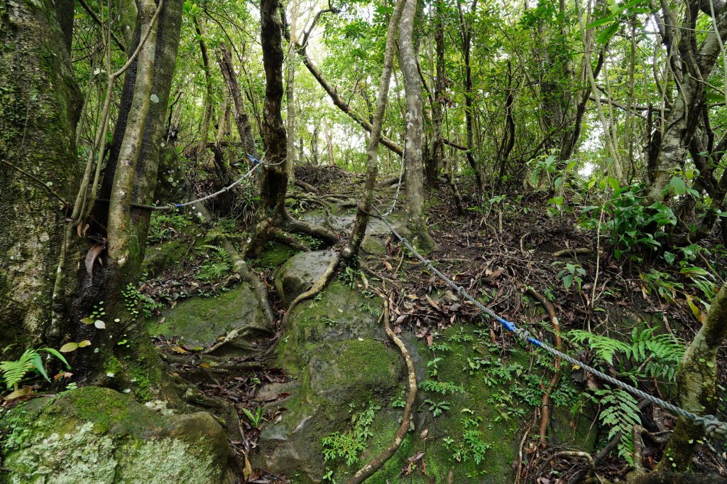 新北 平溪 薯榔尖、石筍尖、魔神仔洞_2772561