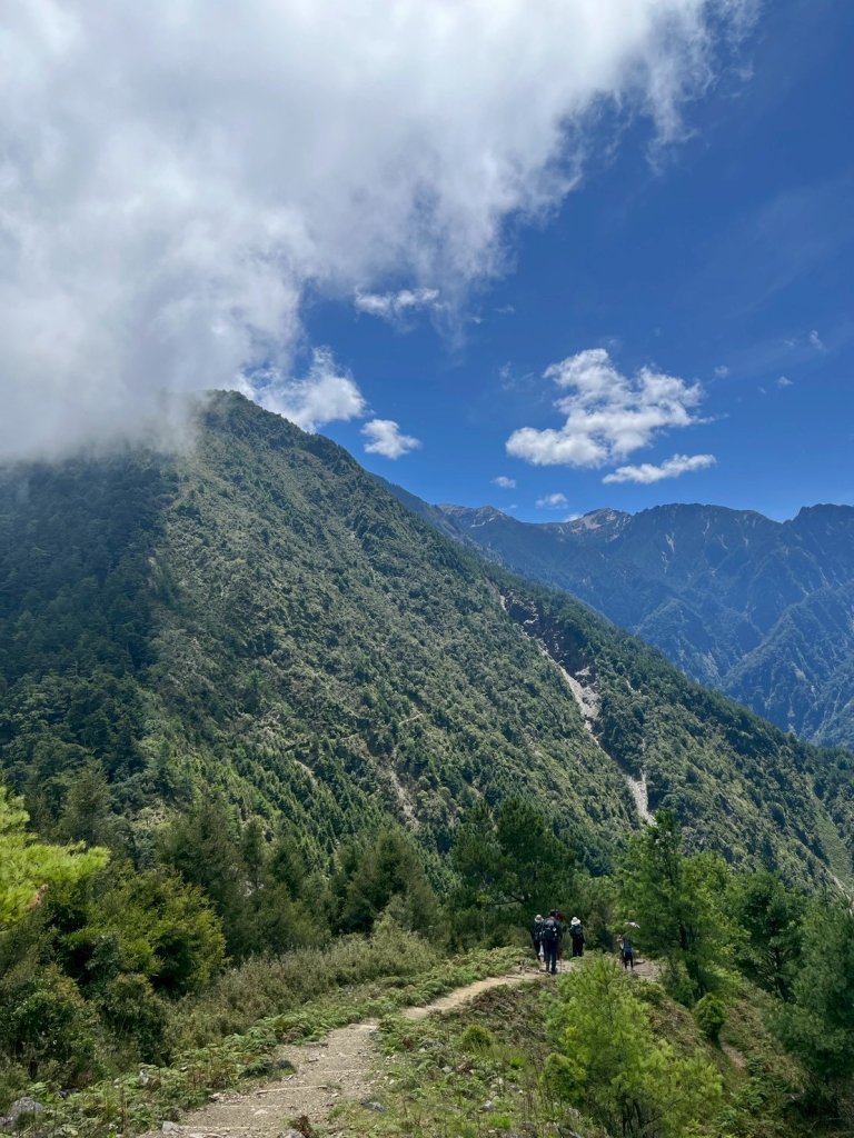 2025/08/17塔塔加、麟趾山、大鐵杉_2891625