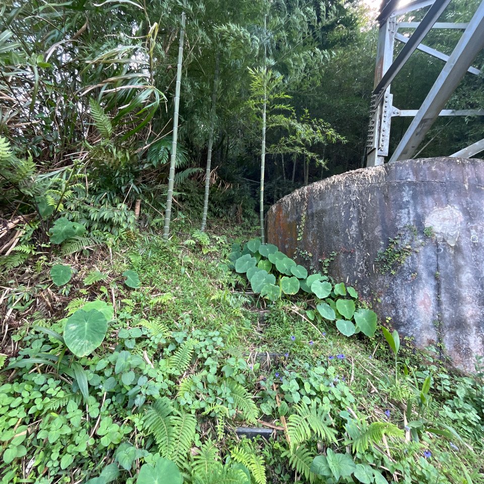 20250822_集集大山（南投小百岳）_2941201