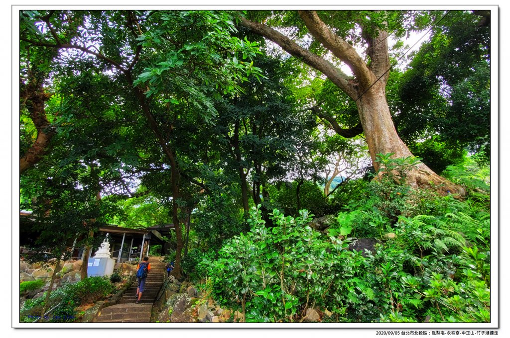 北投鳳梨宅-永春寮-中正山-竹子湖連走_1092748