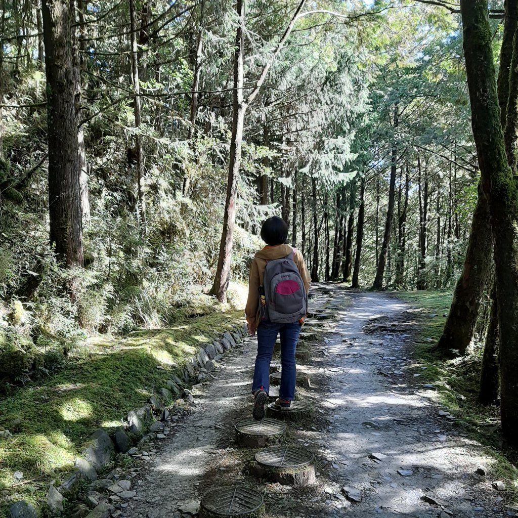 山毛櫸、翠峰湖。明年見_1173707