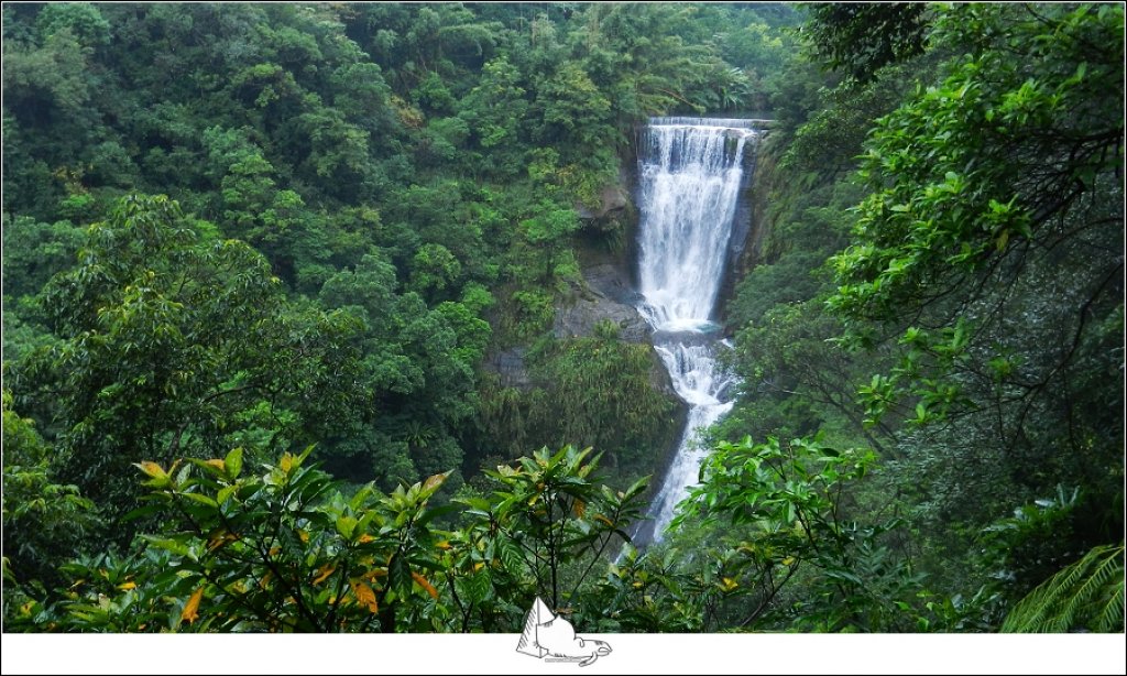 【登山健行│新北瑞芳】三貂嶺越嶺猴硐_440992