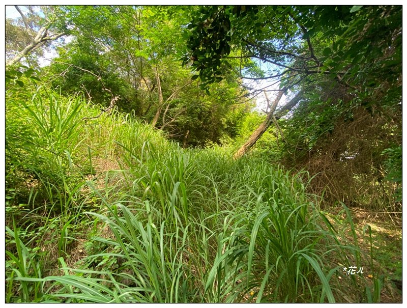 土地公坑 新路線 (彰化、花壇)_3070363