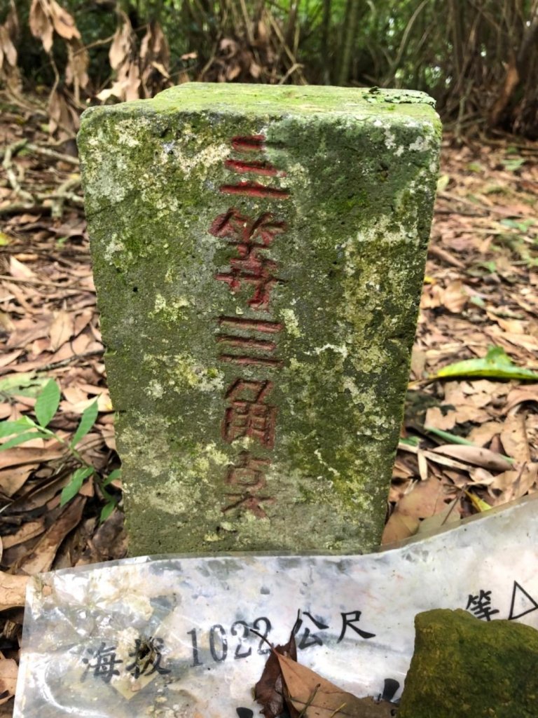 嘉義連峰獨立山大巃頂紅楠坑觀音石阿拔泉_633333