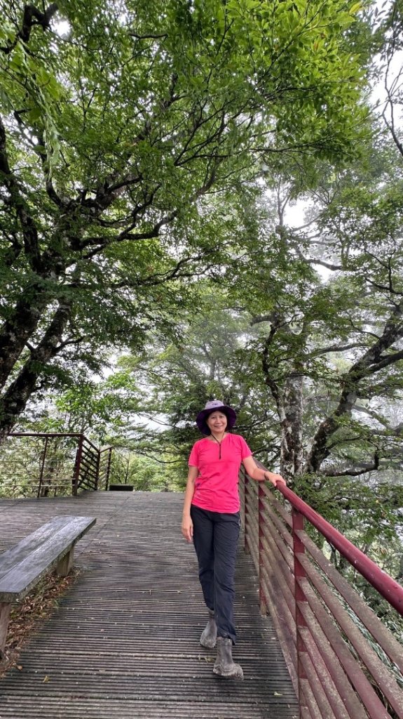 太平山_2541714