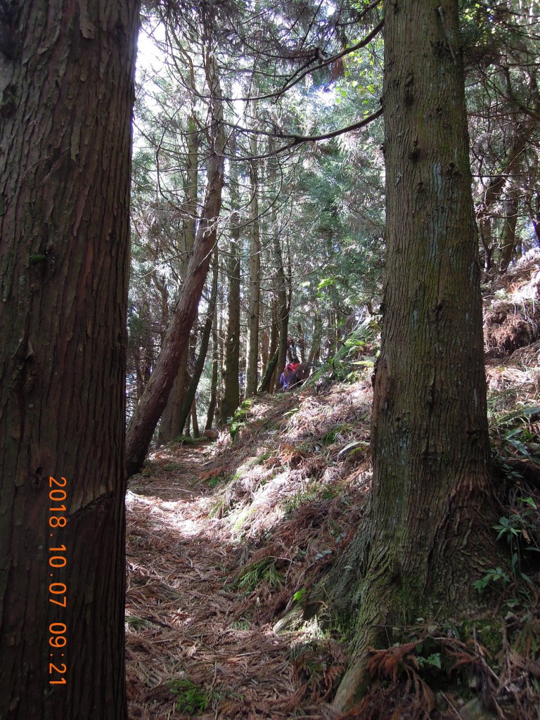 20181007_立鷹山三角峰龍奧山_852055