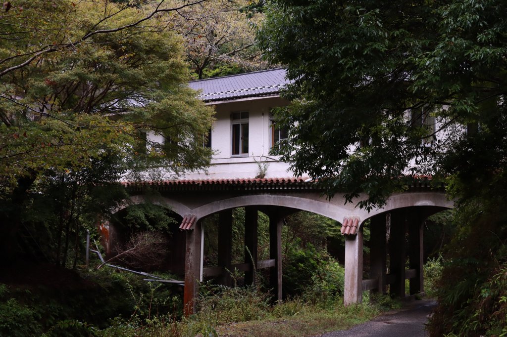 高野参詣道：不動坂に始まり祈りは奥の院へ封面圖