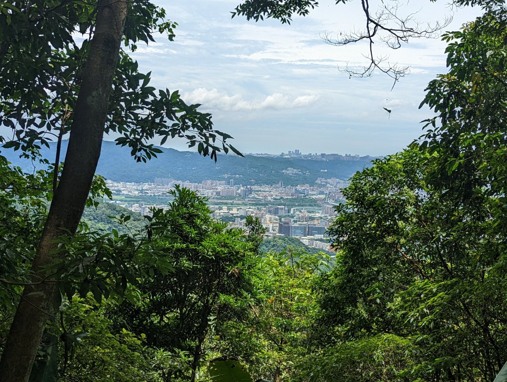 天上山：朝山步道、桐花公園、天上山、賞螢步道_1737625