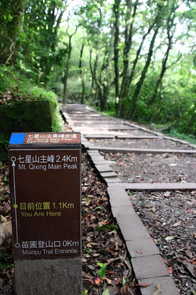 七星山主、東峰登山步道封面圖