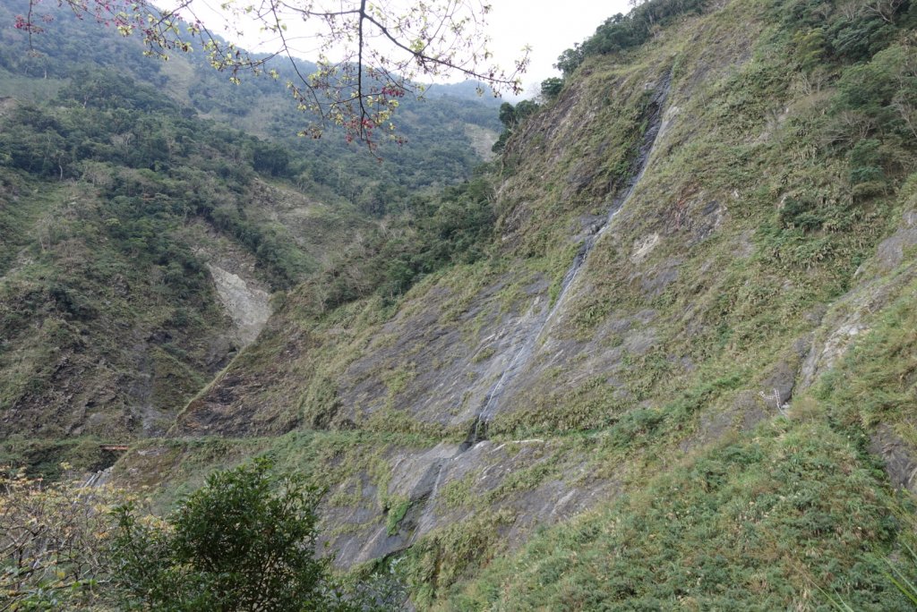 小鬼湖林道上亞泥迪山_1276793