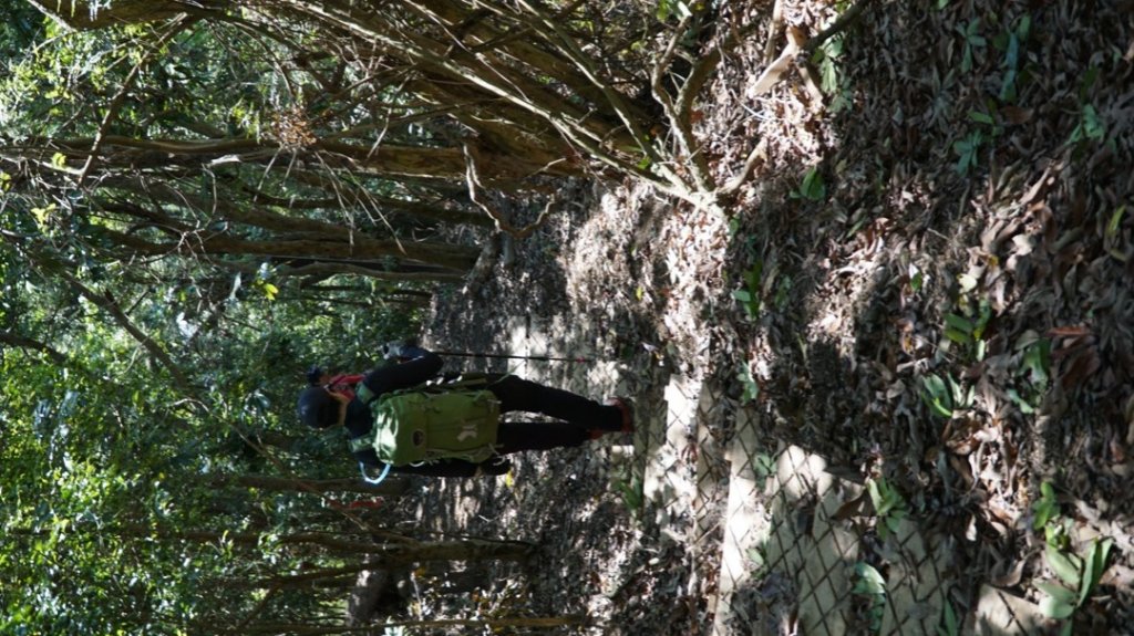 山海圳綠道之東西口越嶺道_1634783