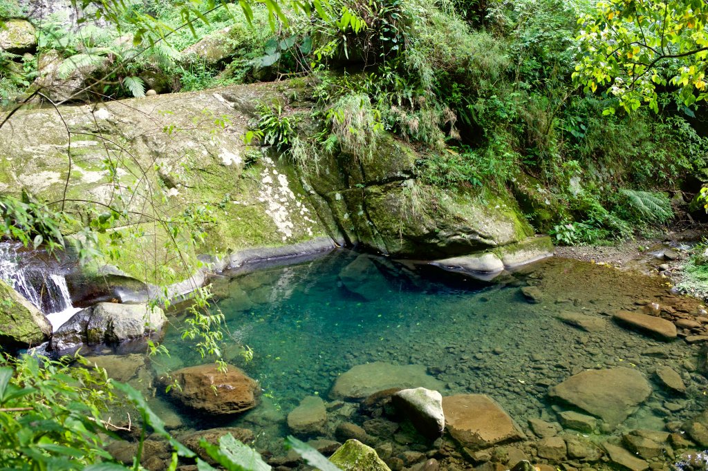 尖石鄉：貴妃山、石猴鞍部_656959