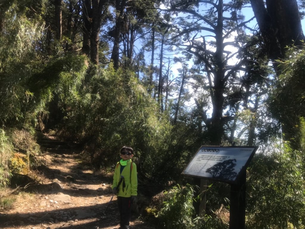 大雪山林道船型山鞍馬山封面圖