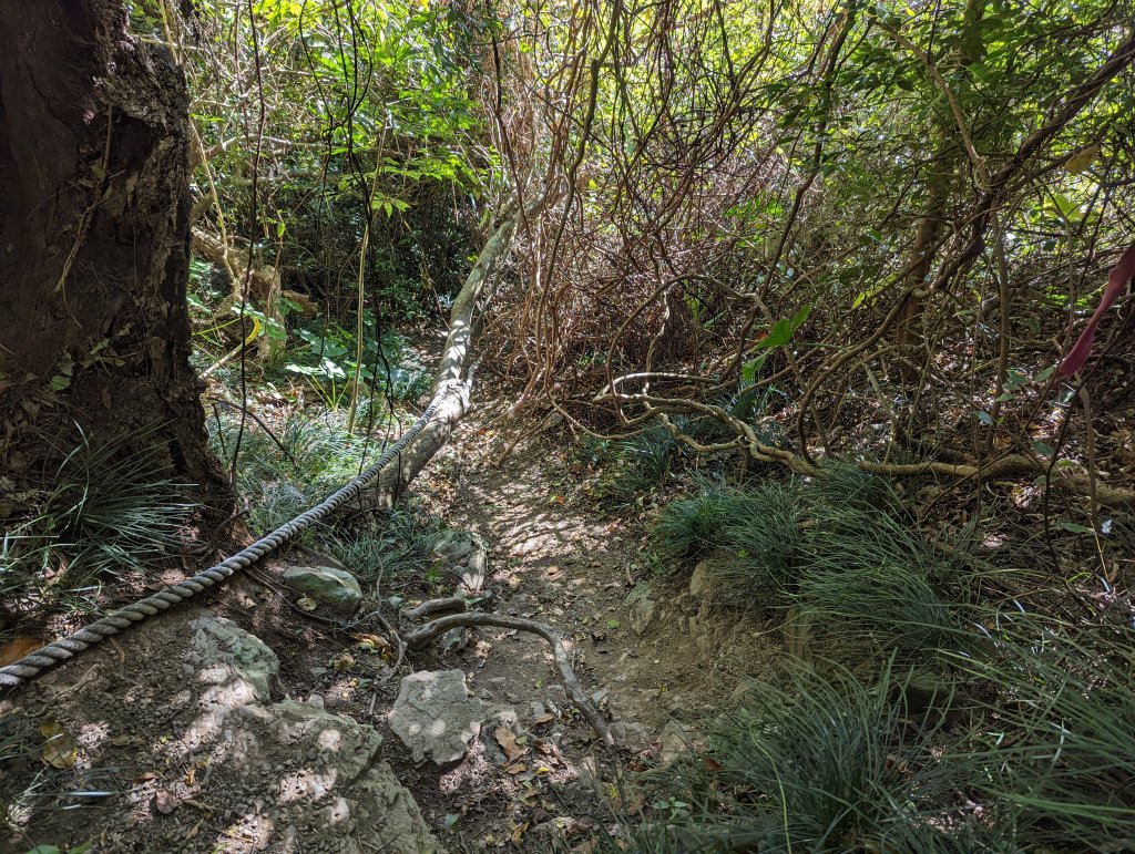 女仍山(小百岳#79)_1636598