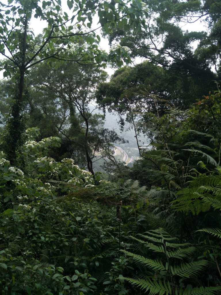 天上山步道_1692079