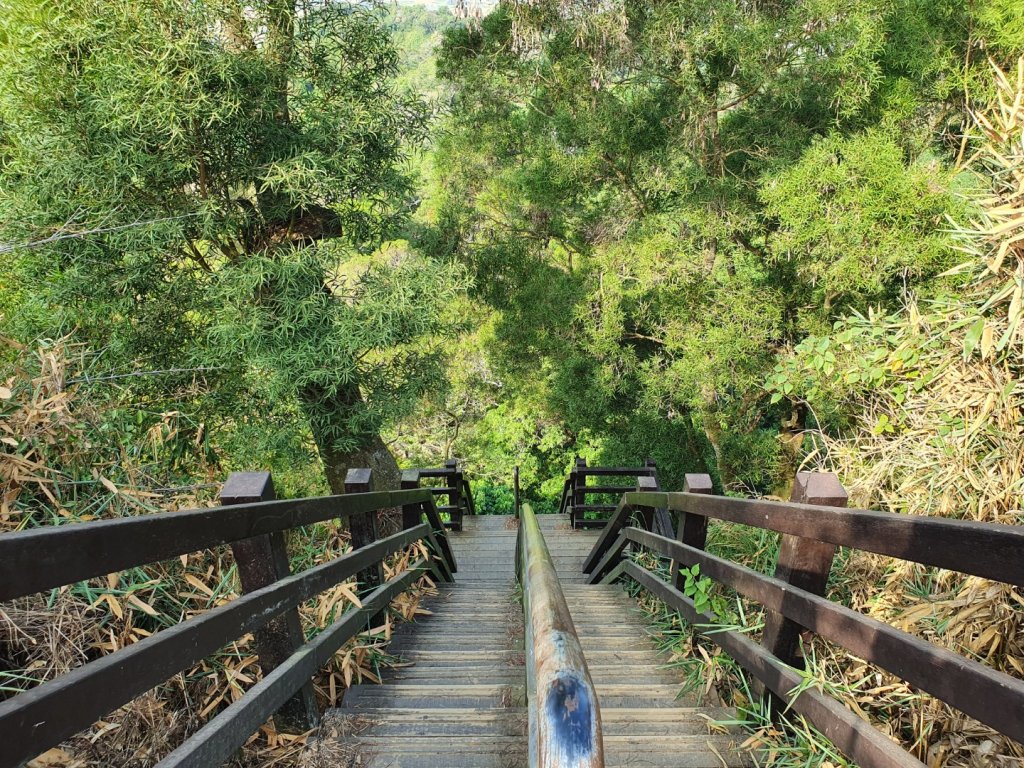 清水岩中央嶺造林步道封面圖